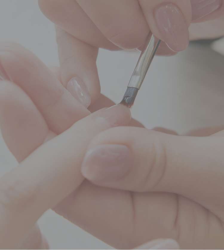 ベレックスホールディングス株式会社 Top